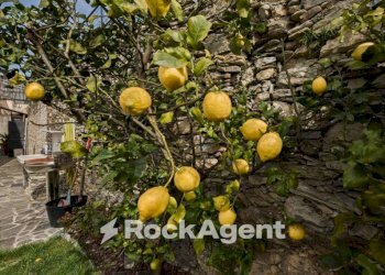 Giardino - Appartamento Frazione San Bartolomeo, Sori - foto 31