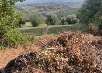 Terreno - Rustico Civitaquana - foto 9