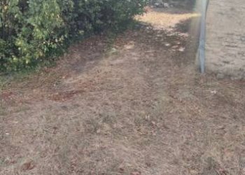 Terreno - Rustico Civitaquana - foto 14