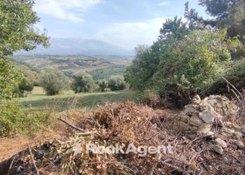 Terreno - Rustico Civitaquana - foto 19