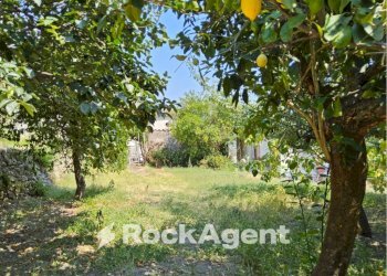 Terreno - Casa indipendente via Sant'Angelo, 15, Grotteria - foto 22