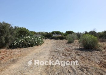 Terreno - Villa strada Provinciale 291, Ugento - foto 30