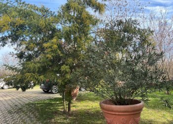 parti comuni - Trilocale via San Ruffillo, San Lazzaro di Savena - foto 19