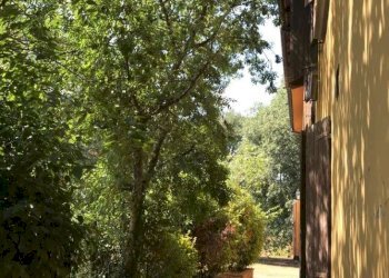 parti comuni - One-room apartment via Del Martignone, Valsamoggia - photo 12