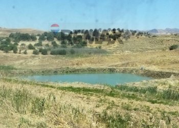 Vista dell\'acqua - Agricultural land sp192
 
S/N, Centuripe - photo 4