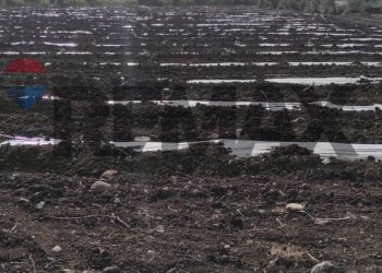 Vista dell\'acqua - Agricultural land sp192
 
S/N, Centuripe - photo 16