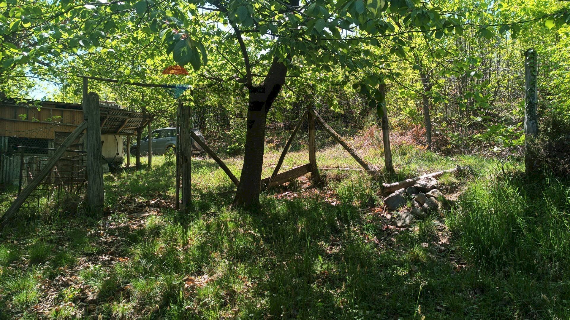 Giardino - Rustic Mallare - photo 3