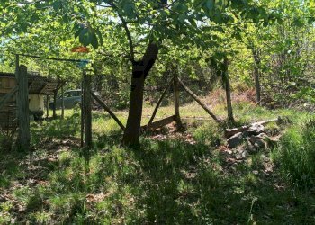 Giardino - Rustic Mallare - photo 3