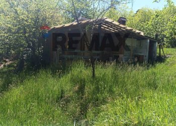 Giardino - Rustic Mallare - photo 12