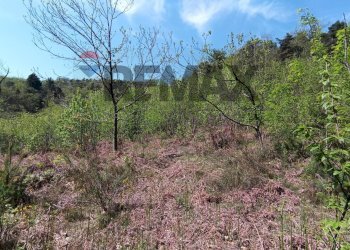 Vista delle montagne - Rustic Mallare - photo 19