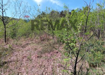 Vista delle montagne - Rustic Mallare - photo 20