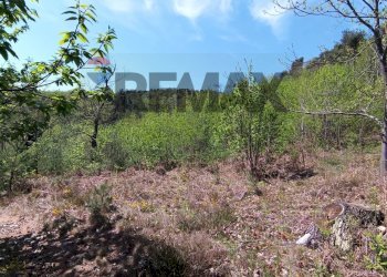 Vista delle montagne - Rustic Mallare - photo 21