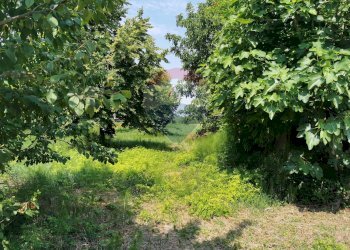Giardino - Casa indipendente Via Bondenese
 
127, Cento - foto 43