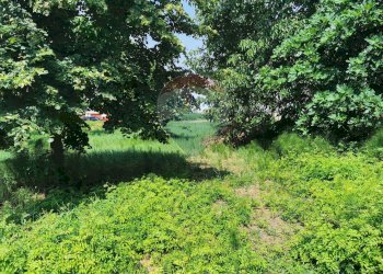 Giardino - Casa indipendente Via Bondenese
 
127, Cento - foto 44