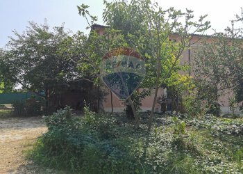 Giardino - Casa indipendente Via Bondenese
 
127, Cento - foto 46