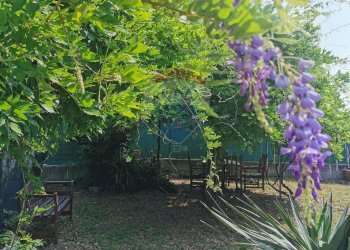 Giardino - Casa indipendente Via Bondenese
 
127, Cento - foto 52