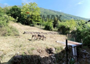 Vista delle montagne - Casa semi indipendente Via Molini
 
17, Fonzaso - foto 16