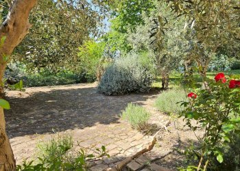 Foto 3 - Rustico via Salvamaggio
 
1, Colli al Metauro - foto 3