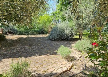 Foto 7 - Rustico via Salvamaggio
 
1, Colli al Metauro - foto 7