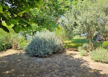 Foto 10 - Rustico via Salvamaggio
 
1, Colli al Metauro - foto 10