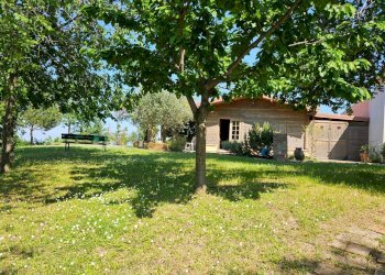 Foto 16 - Rustico via Salvamaggio
 
1, Colli al Metauro - foto 16