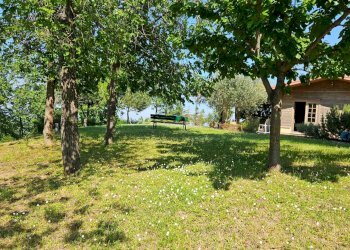 Foto 17 - Rustico via Salvamaggio
 
1, Colli al Metauro - foto 17