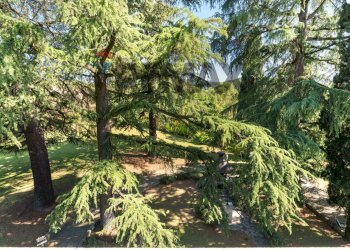 Giardino - Villa Via Vigorelli
 
160, Casteggio - foto 46