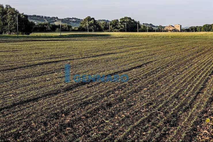 Foto 2 - Terreno agricolo Via Laipacco, Udine - foto 2