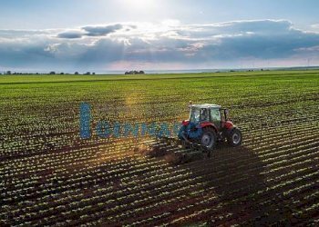 Foto 1 - Agricultural land Via Laipacco, Udine - photo 1