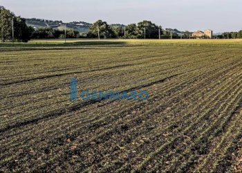 Foto 2 - Agricultural land Via Laipacco, Udine - photo 2