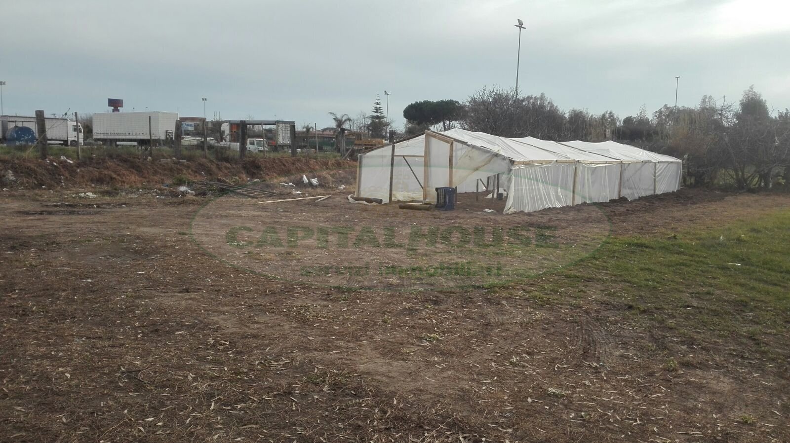 Foto 3 - Terreno agricolo LEVAGNOLE, Mondragone - foto 3