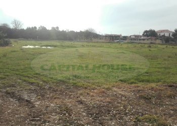 Foto 4 - Agricultural land LEVAGNOLE, Mondragone - photo 4