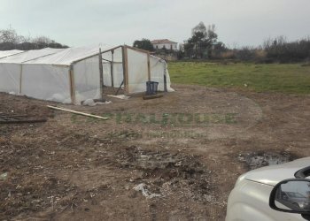 Foto 5 - Agricultural land LEVAGNOLE, Mondragone - photo 5