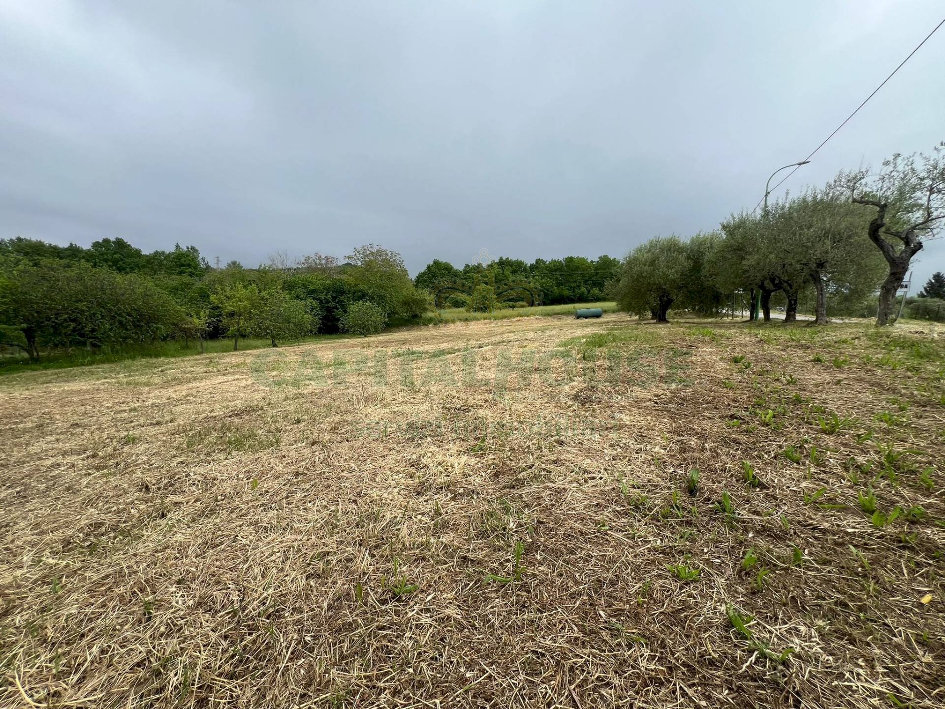 Foto 3 - Building land Via Provinciale, Candida - photo 3
