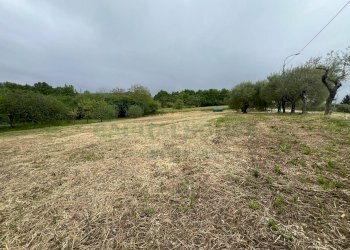 Foto 3 - Building land Via Provinciale, Candida - photo 3