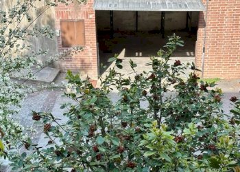 Foto 22 - Villa a Schiera Via San Rocco, San Raffaele Cimena - foto 22