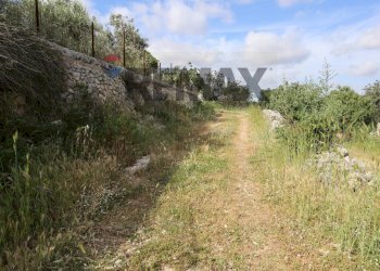 Giardino - Rustico C.da Cavalusi, Ragusa - foto 24