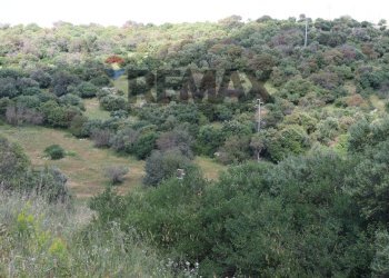 Non correlato - Rustico C.da Cavalusi, Ragusa - foto 26