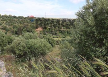 Vista delle montagne - Rustico C.da Cavalusi, Ragusa - foto 28