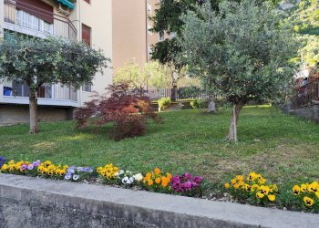 Foto 17 - Appartamento VIA VERDI, Predore - foto 17