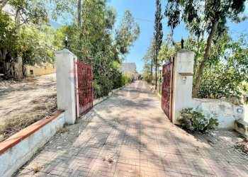 Non correlato - Villa Via Federico II
 
9, Terrasini - photo 3