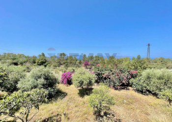 Giardino - Villa Via Federico II
 
9, Terrasini - photo 26