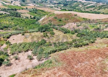 Vista delle montagne - Terreno agricolo Strada Monteodorisio
 
snc, Cupello - foto 4