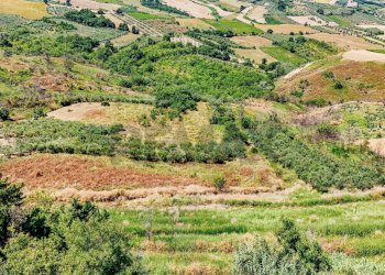 Vista delle montagne - Terreno agricolo Strada Monteodorisio
 
snc, Cupello - foto 5