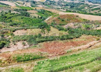 Vista delle montagne - Terreno agricolo Strada Monteodorisio
 
snc, Cupello - foto 6