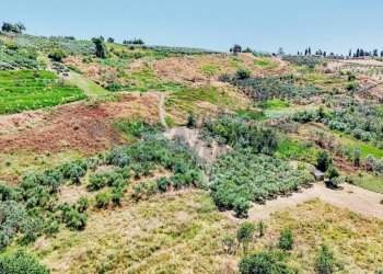 Giardino - Terreno agricolo Strada Monteodorisio
 
snc, Cupello - foto 9