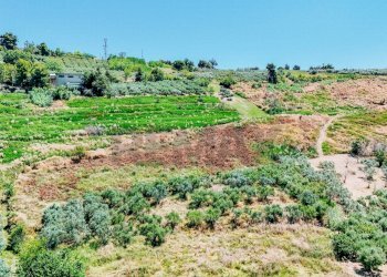 Giardino - Terreno agricolo Strada Monteodorisio
 
snc, Cupello - foto 11