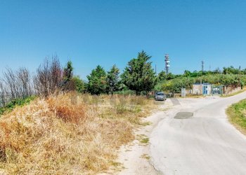 Non correlato - Terreno agricolo Strada Monteodorisio
 
snc, Cupello - foto 12