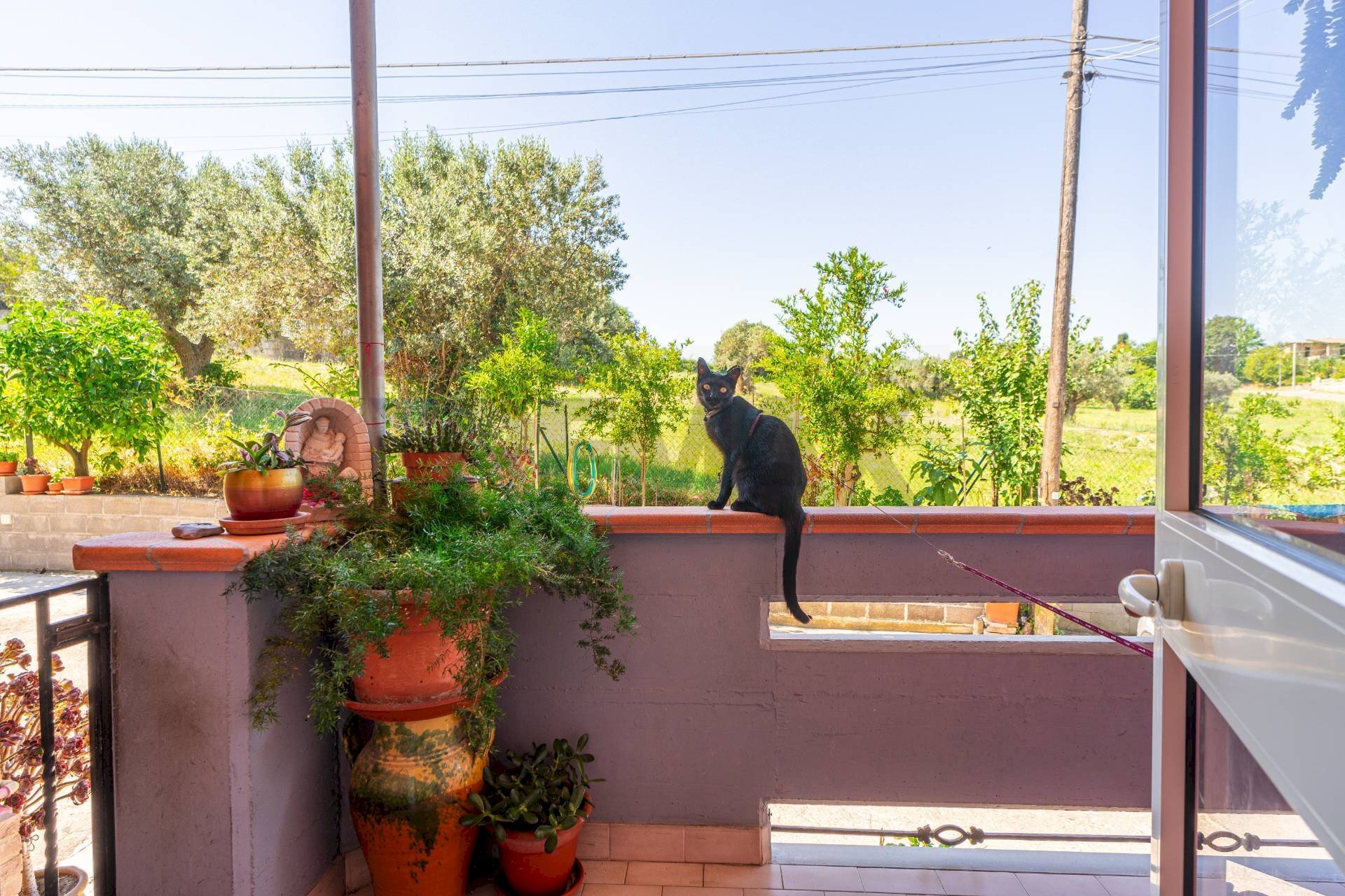 Terrazza - Semi-detached Villa Via San Rocco
13D, Villalfonsina - photo 3
