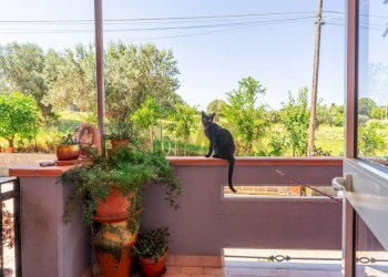 Terrazza - Semi-detached Villa Via San Rocco
 
13D, Villalfonsina - photo 3